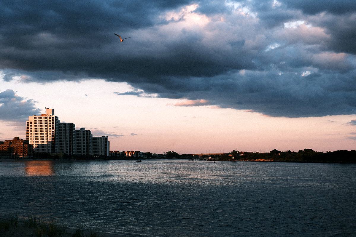 City waterfront at dusk, cloud piled above the towers and a bird crossing