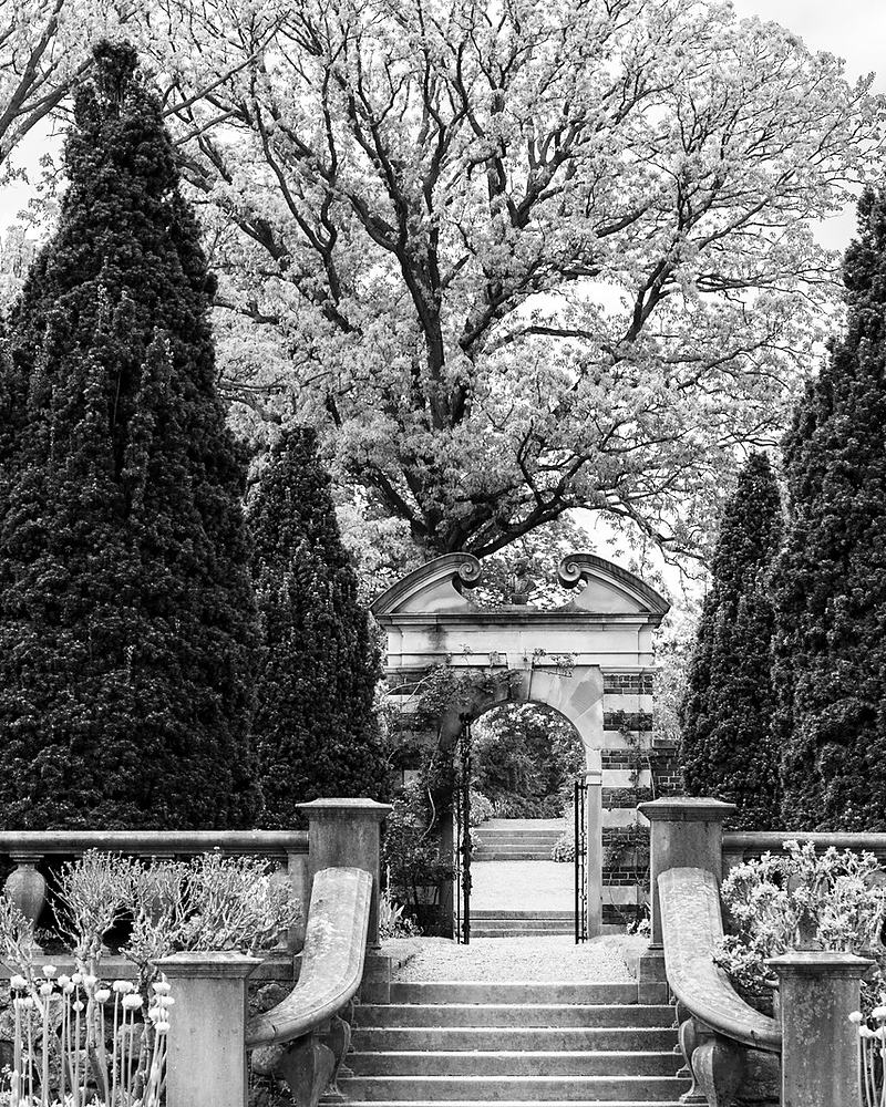 Formal garden stair and gate in black and white, framed by clipped cypress