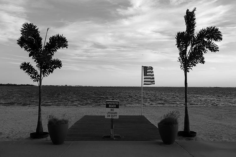 Two palms flanking an empty beach entrance in near-monochrome