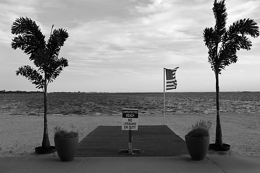 Black and white dock with two palms and a flag