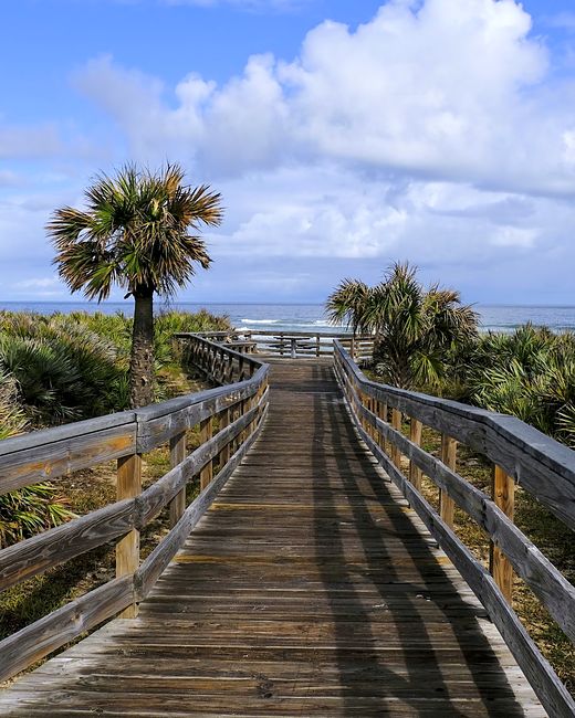 Palm-lined boardwalk running to a vanishing point