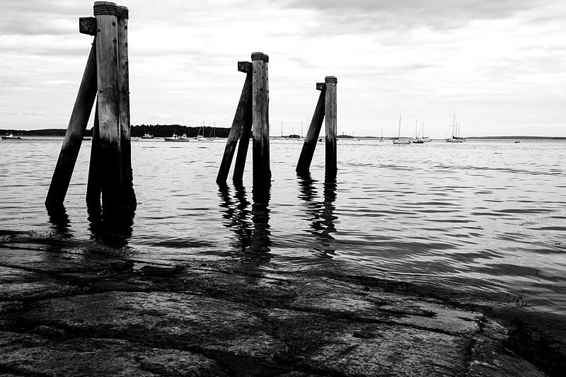 Black and white pilings standing in shallow water