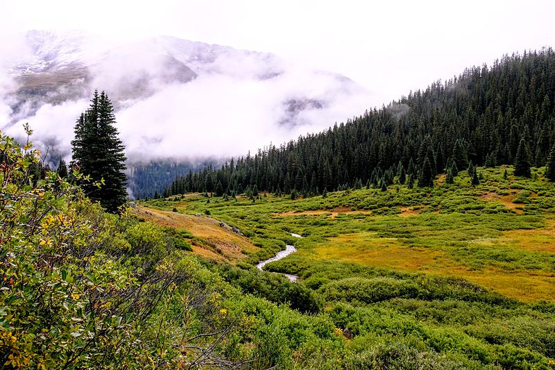 Alpine meadow with cloud spilling over the ridge behind it
