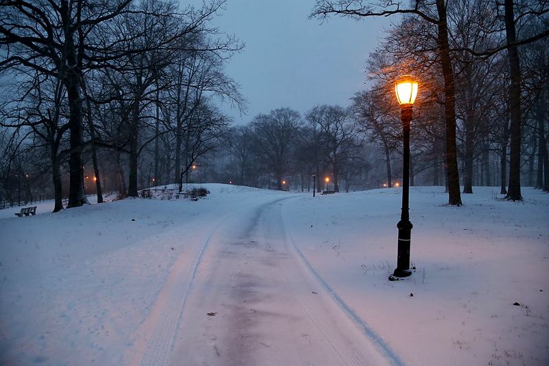 Snow falling through the light of a park lamp at dusk