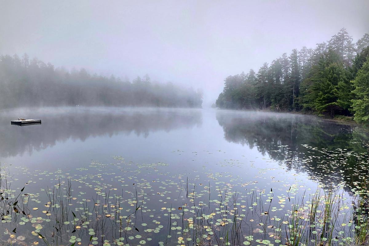 Mist lying over a lily-covered lake at dawn