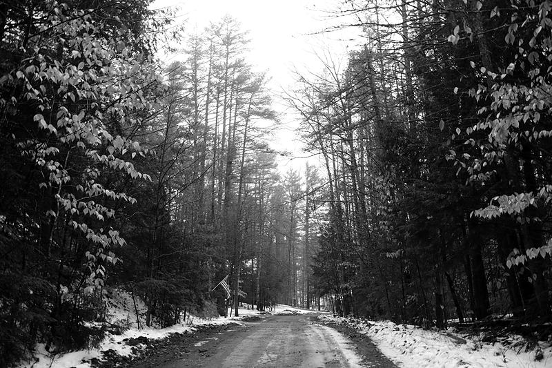 Black and white snow-covered forest road