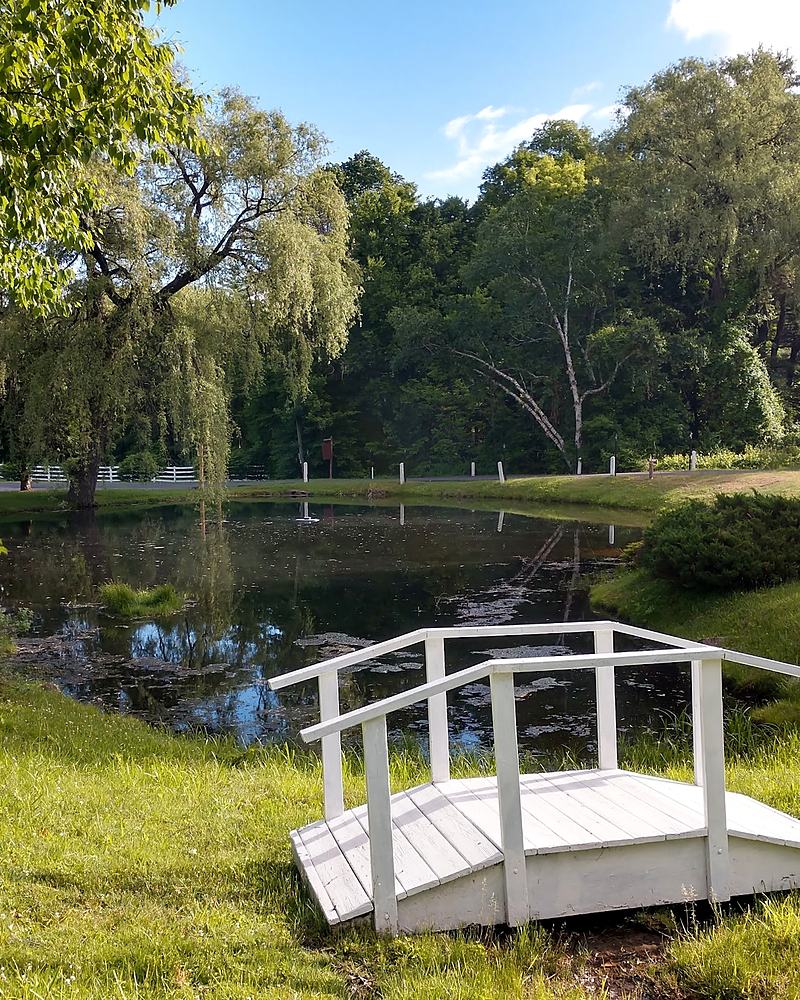A landscaped garden with a white footbridge