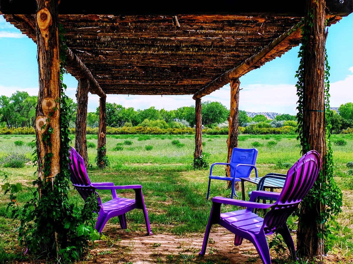 A vine-covered pergola with seating beneath it