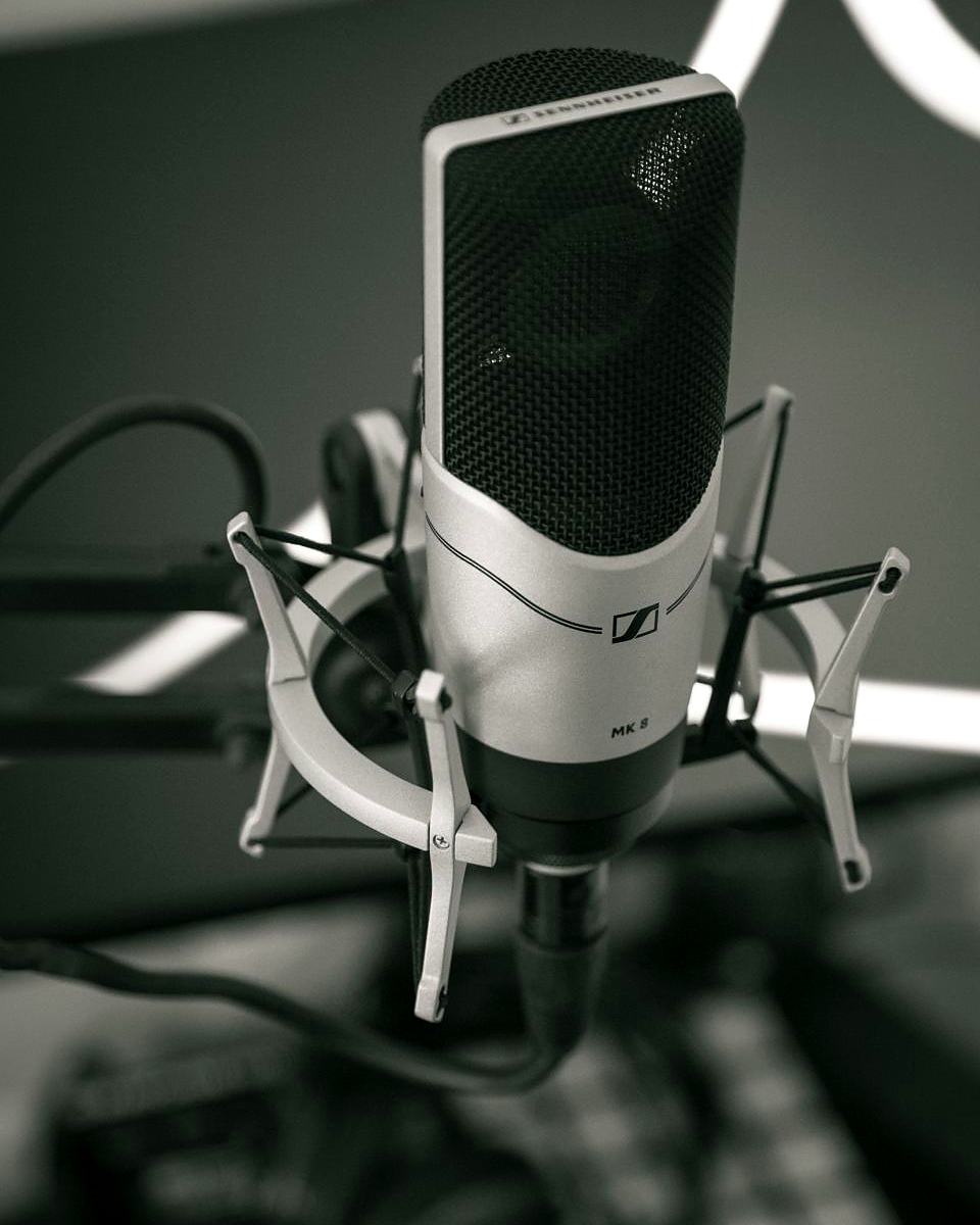Reference frame: a large-diaphragm condenser microphone in a shock mount