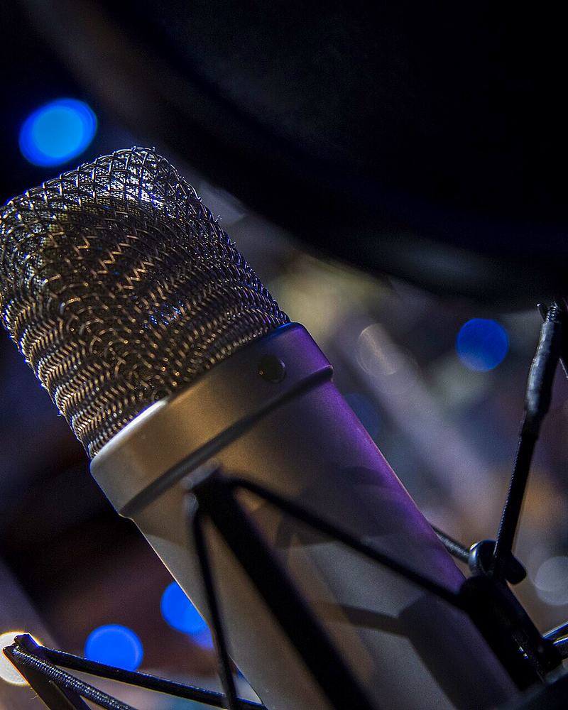 Reference frame: condenser microphone on a shock mount, lit low key
