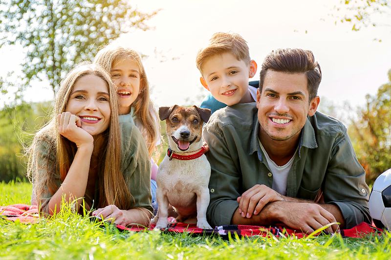 Reference frame: a family lying on the grass with their dog