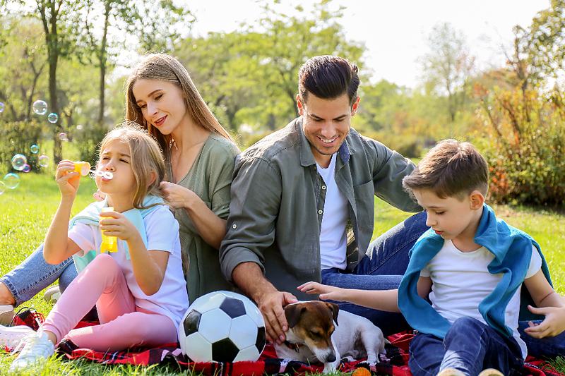 Reference frame: a family picnic on the grass with a football