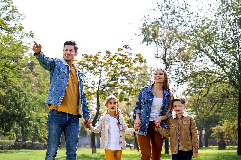 Reference frame: a father pointing something out to the children