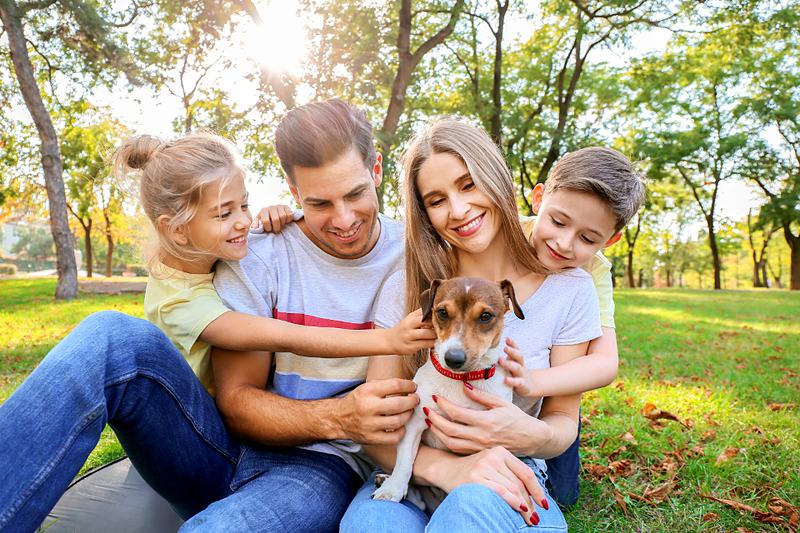 Reference frame: a family sitting on the grass with a puppy