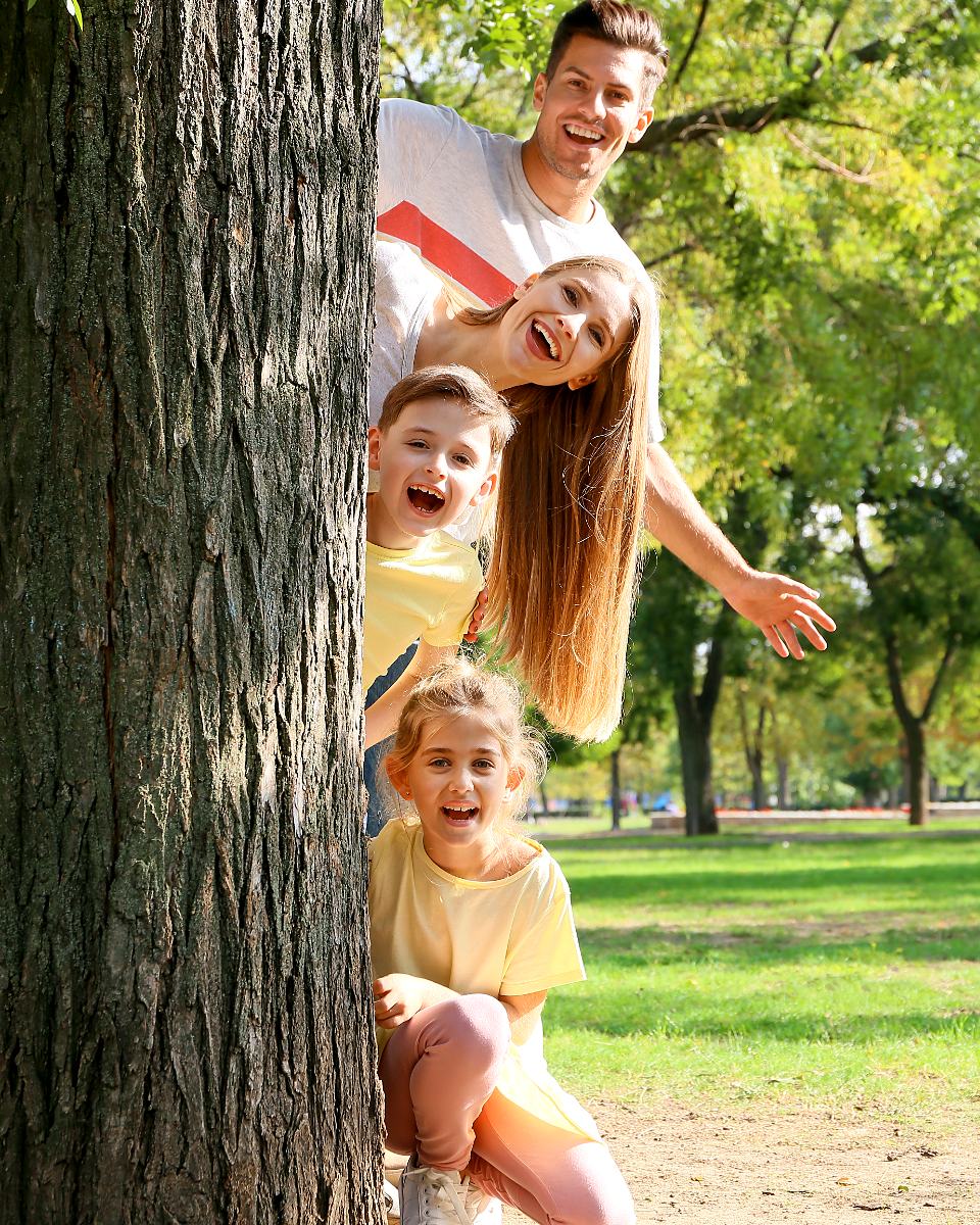 Reference frame: a family gathered at the foot of a tree