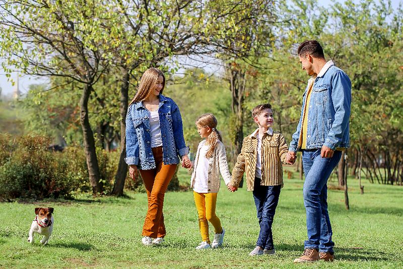 Reference frame: a family walking hand in hand through the park