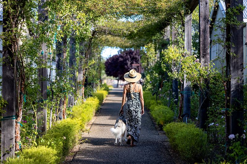 Reference frame: walking the dog under a pergola walk