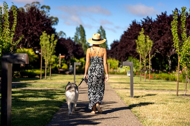 Reference frame: an owner walking a dog down a tree-lined path