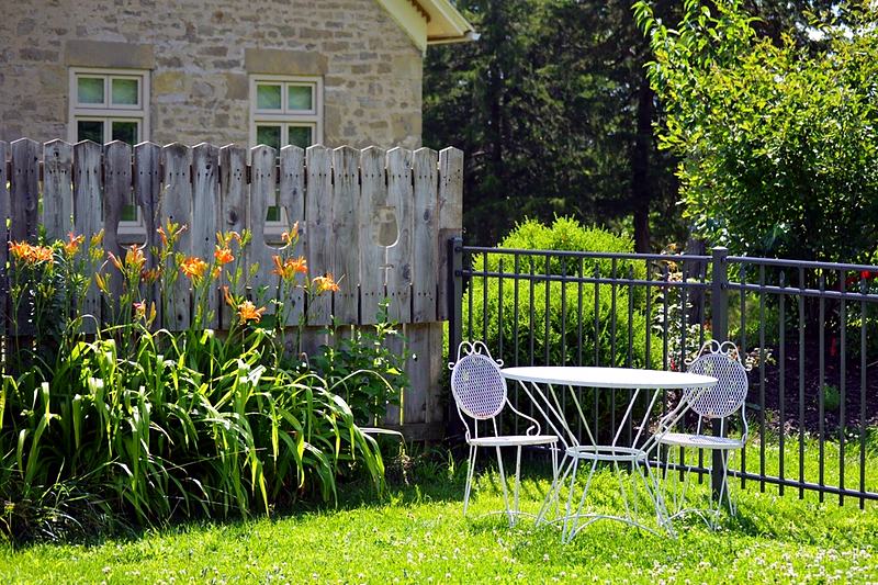 Reference frame: a fenced border in full summer flower