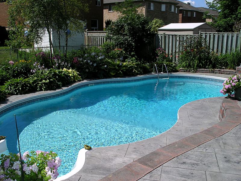 Reference frame: a curved pool set into a planted back garden