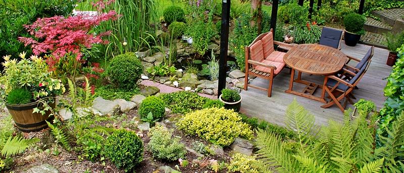Reference frame: a planted garden running up to a seating terrace