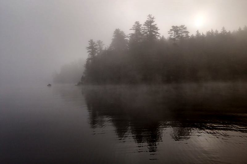 Black and white lake in heavy fog, sun burning through the trees