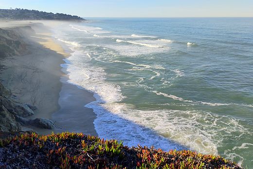 Waves running against ice plant on a low bluff