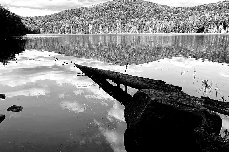 Black and white lake with a sunken log and cloud reflected